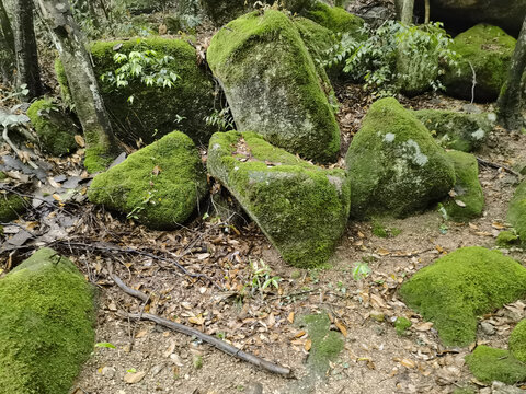 黄山云谷寺