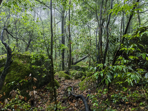 黄山云谷寺