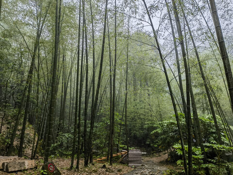 黄山云谷寺
