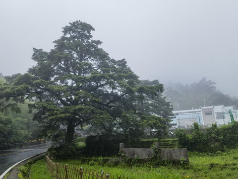 黄山云谷寺