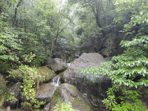 黄山云谷寺梅屋