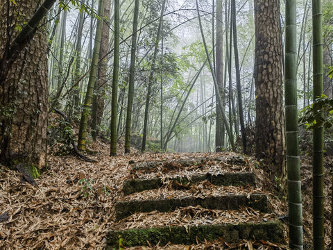 黄山云谷寺梅屋