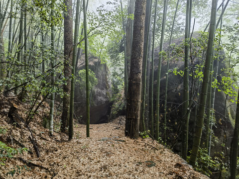 黄山云谷寺梅屋