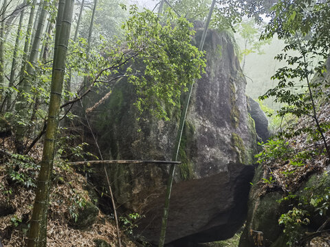 黄山云谷寺梅屋