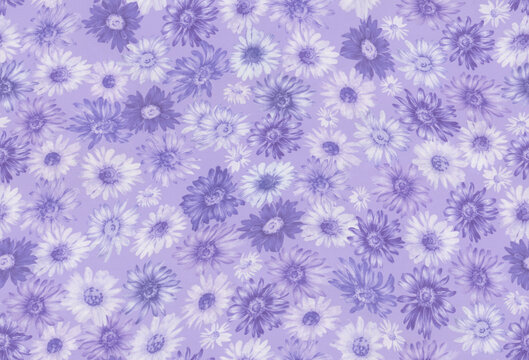 蓝紫色系雏菊花