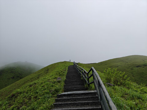 武功山高山草甸