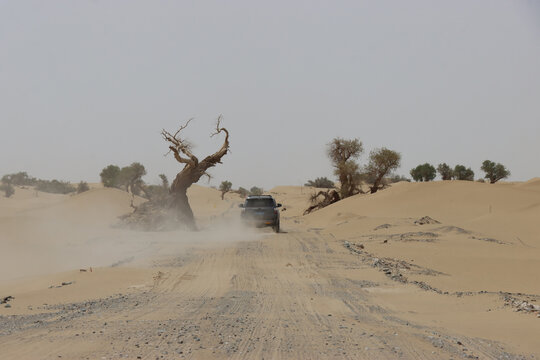 沙漠中行驶的汽车