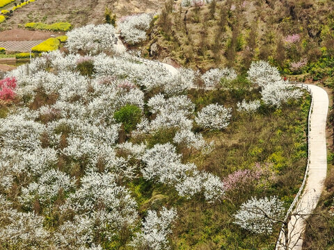 自贡牛佛龙骨山庄梨园