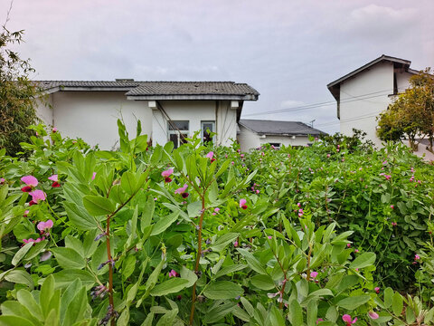 自贡牛佛龙骨山庄村居