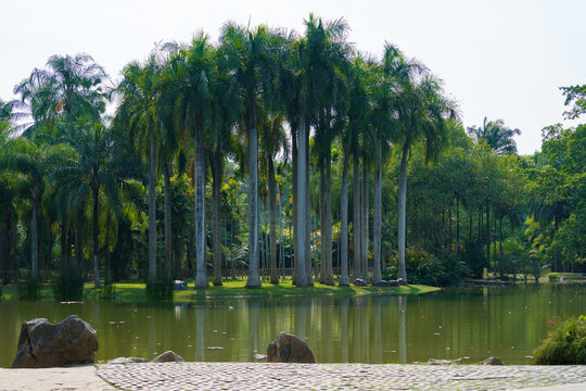 中国科学院西双版纳热带植物园