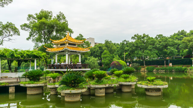 湖畔景观