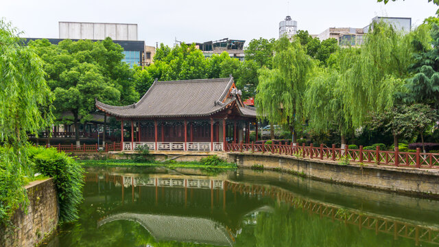 湖畔风景