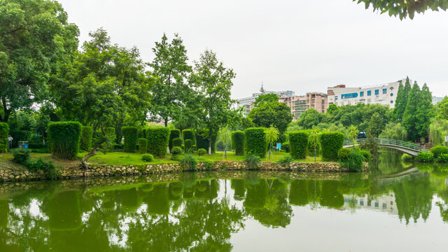 湖畔风景