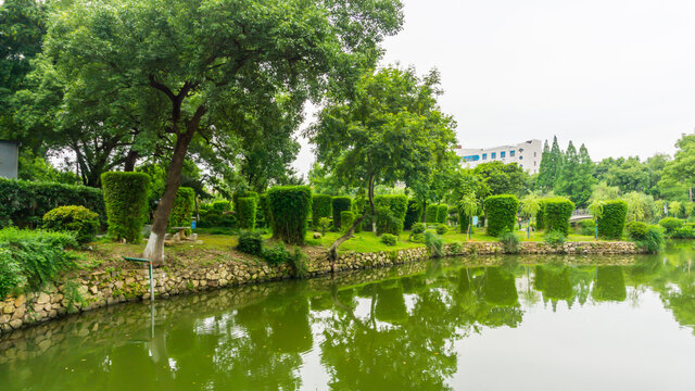 湖畔风景