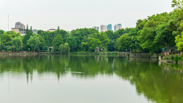 湖畔景观