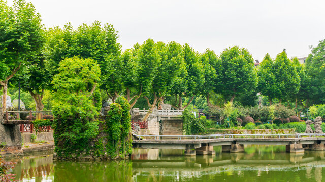 湖畔景观