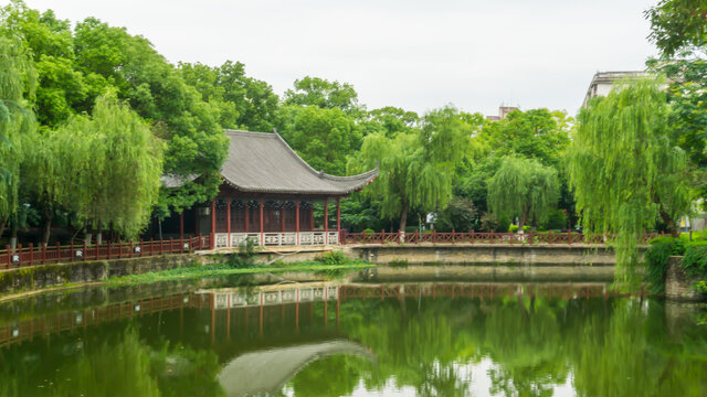 湖畔景观