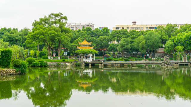 湖畔景观