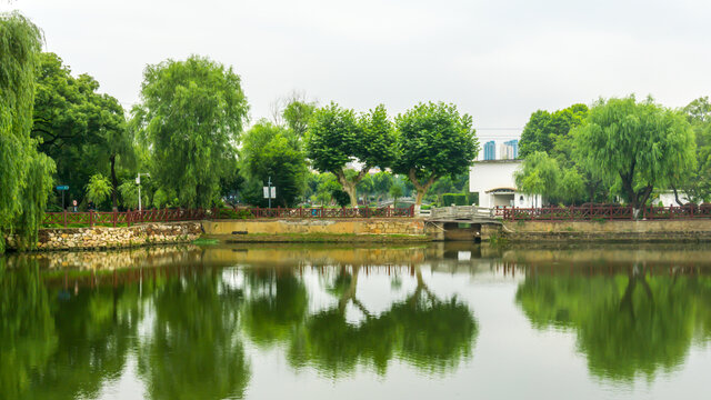 湖畔景观
