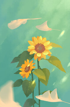 绘画插图向日葵