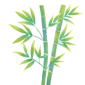 国风绿色竹子绿竹手绘