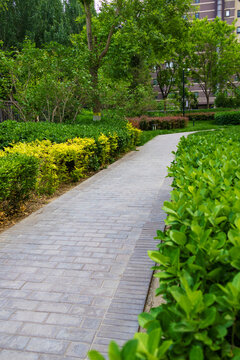公园小区社区园林小路