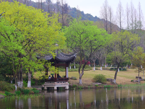 杭州湘湖春景