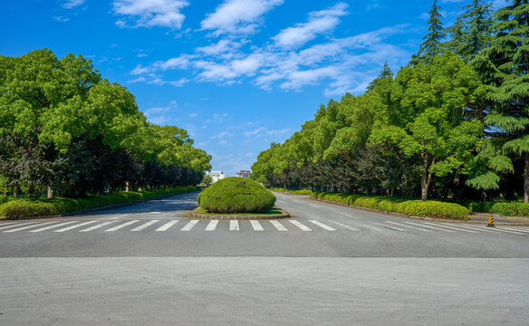 公路绿化林带