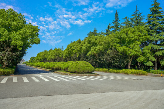 公路绿化景观