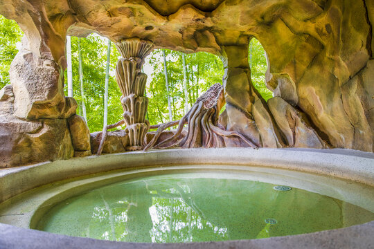 森林温泉汤池