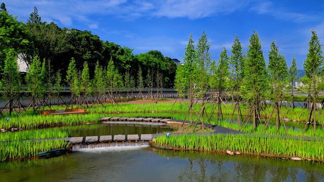 湿地公园水景观石步景观造型