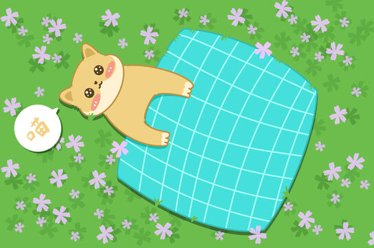 花丛中睡觉的猫咪壁纸
