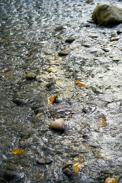 溪水里的鹅卵石