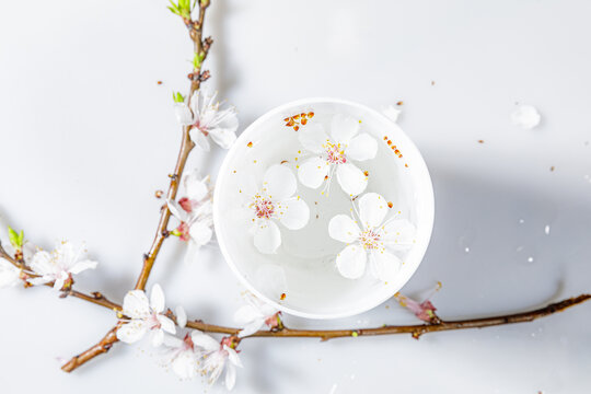 白色杏花花瓣素材