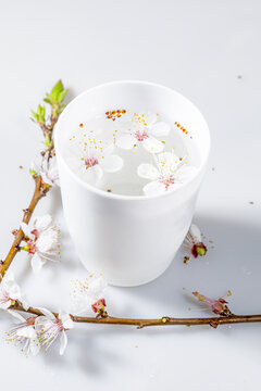 桃花杏花