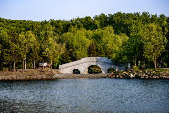 初夏的长春净月潭公园玉轮桥景观