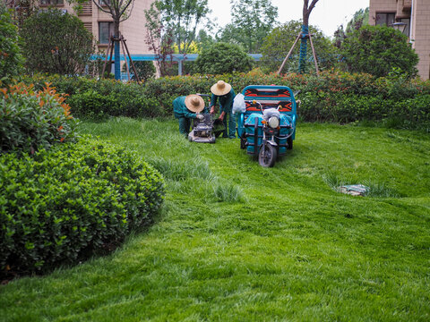 修剪草坪的绿化工人