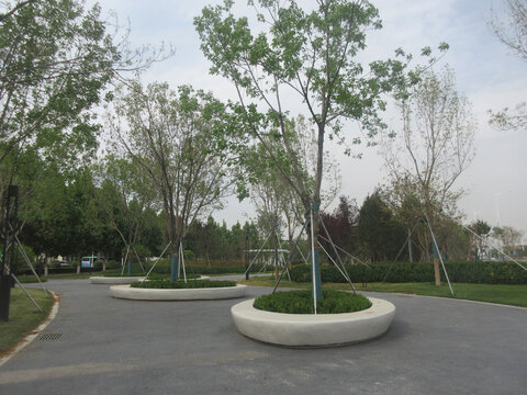 树池景观