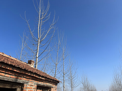 乡村的天空