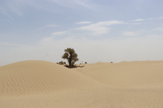 沙漠戈壁滩