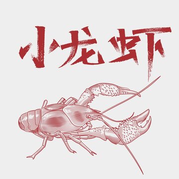 小龙虾插画小龙虾手绘