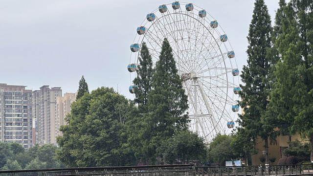 东湖公园