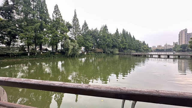 东湖公园