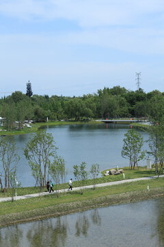 俯拍法治湿地公园