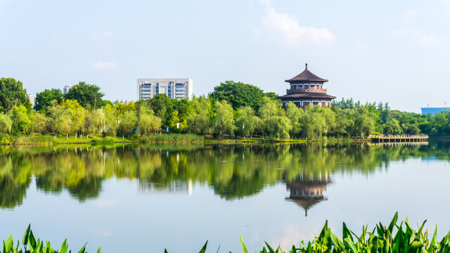 九华湖风景