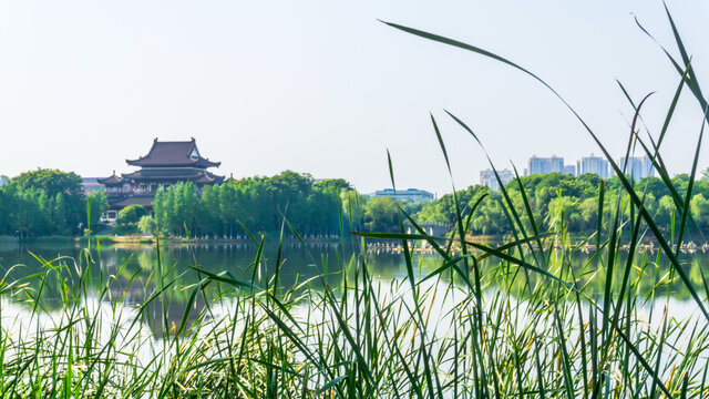 湖上风光