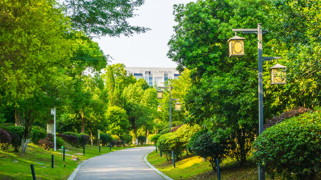 公园健康步道
