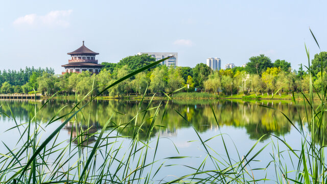 湖上风景