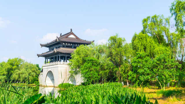 达礼桥畔