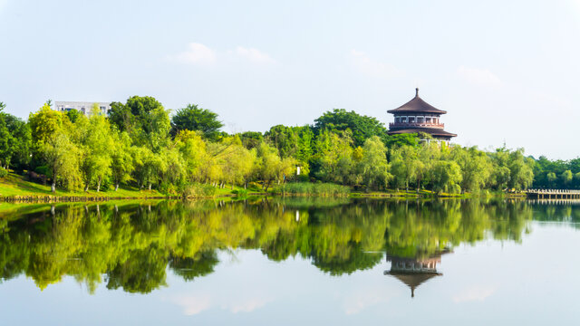 湖畔风景